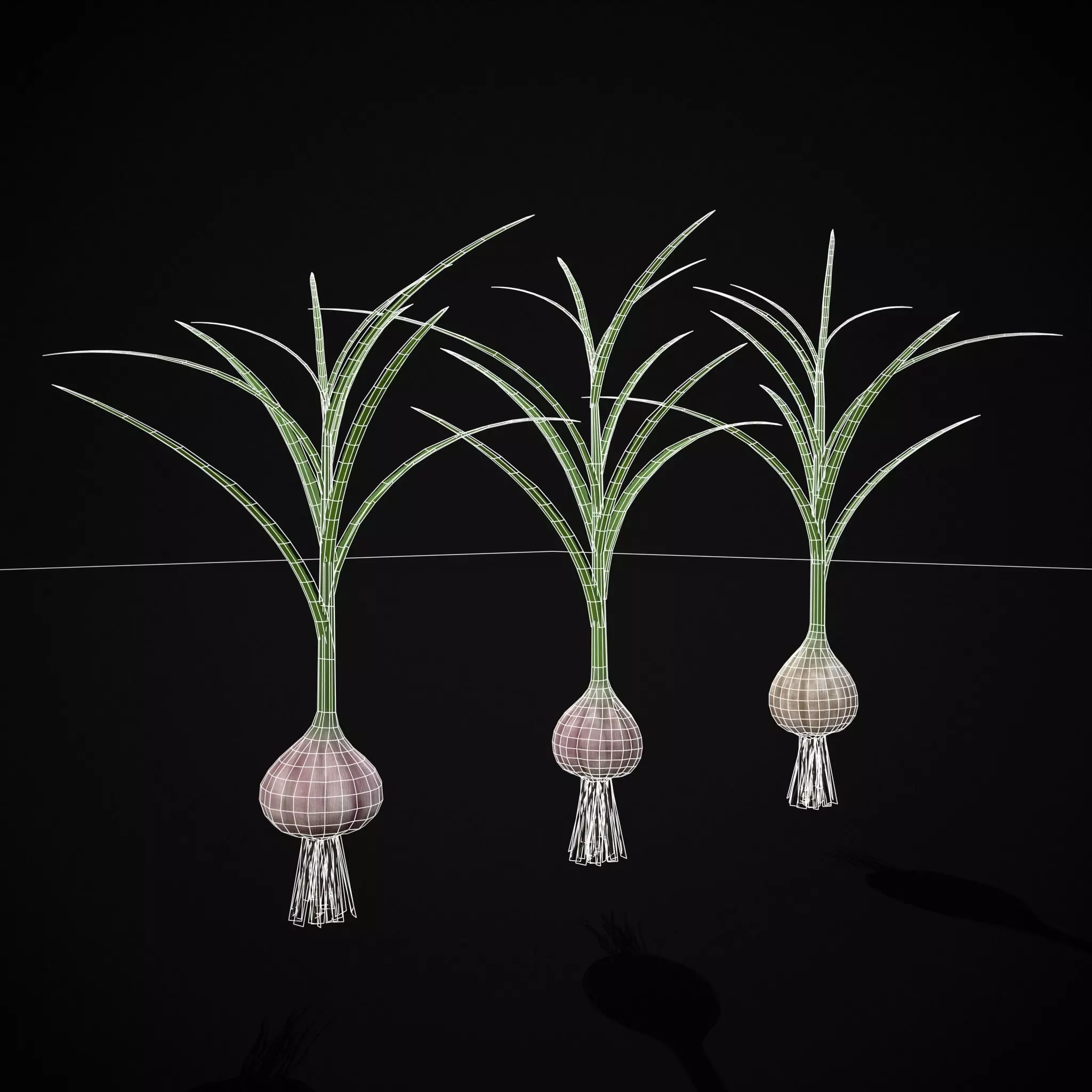 Square Planting Plot with Garlic Low-poly 3D model_27