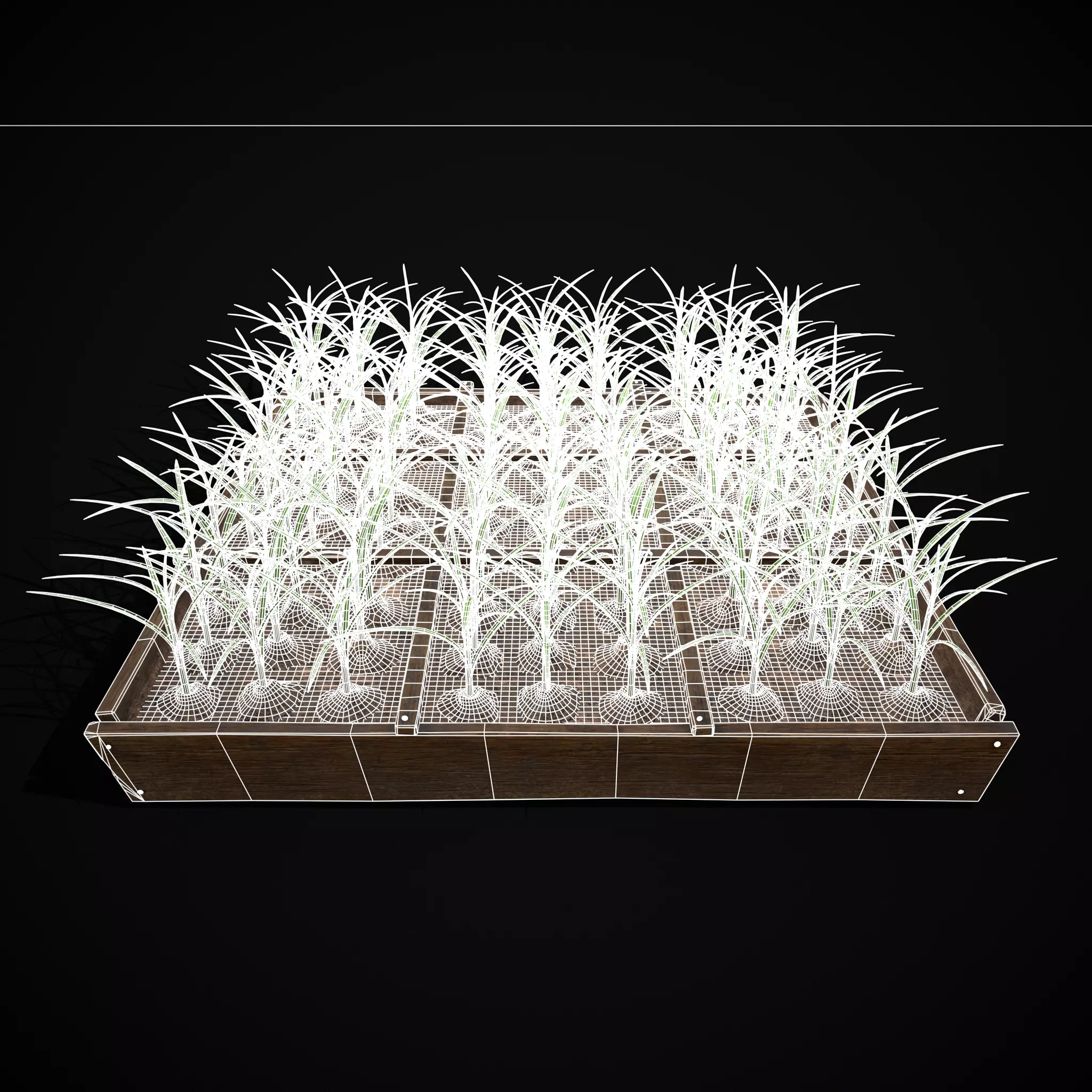 Square Planting Plot with Garlic Low-poly 3D model_3