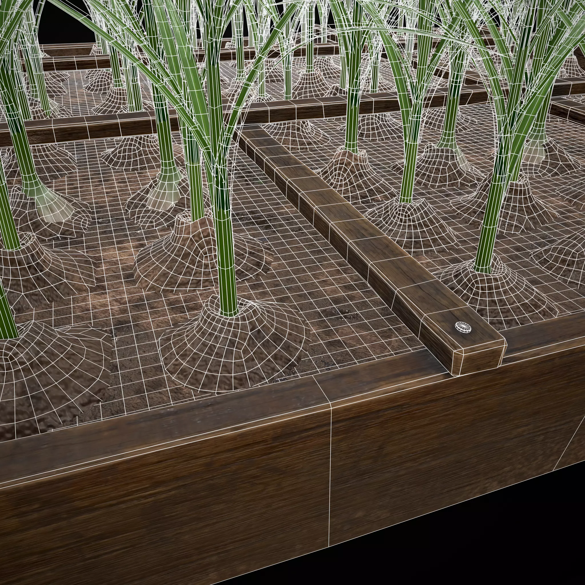 Square Planting Plot with Garlic Low-poly 3D model_29