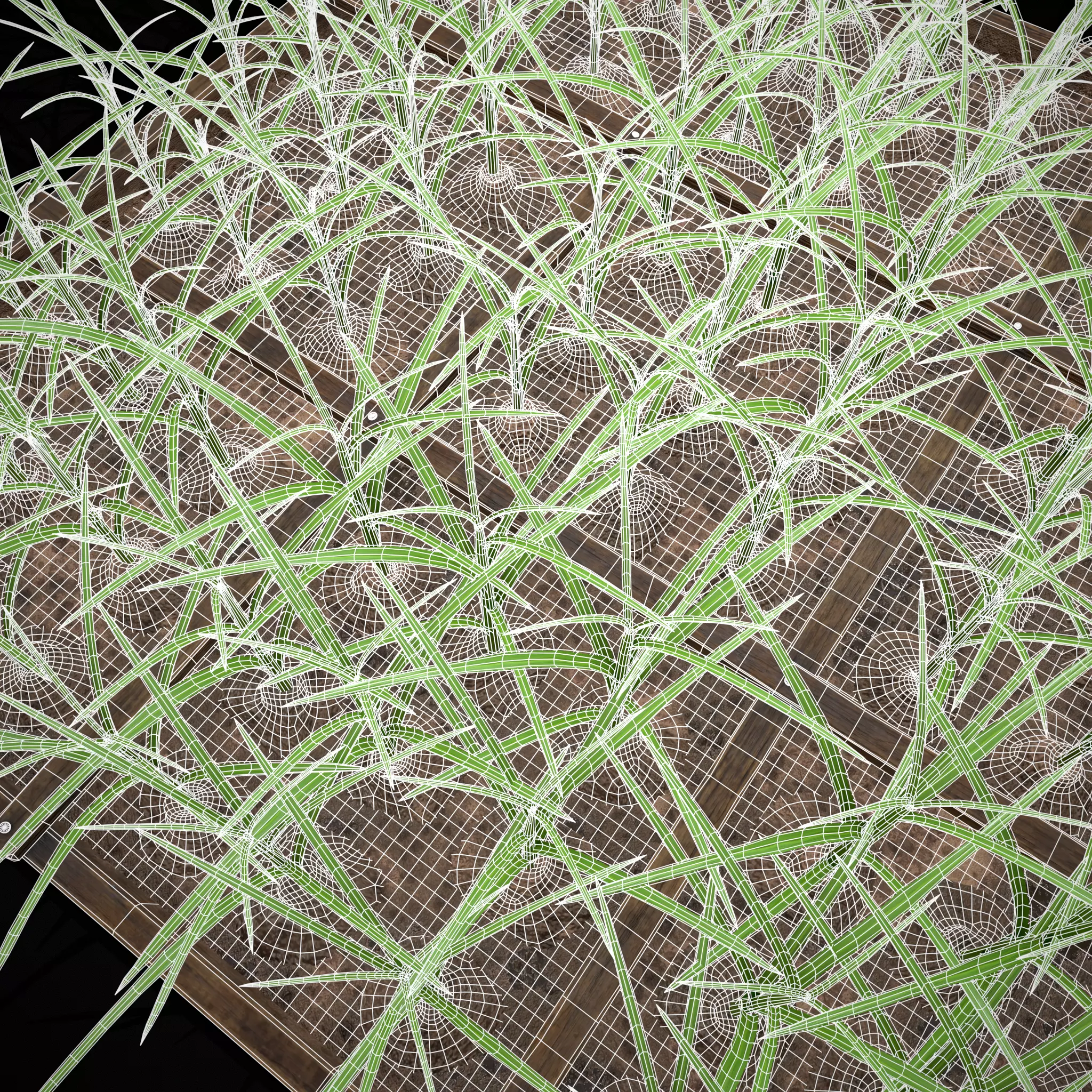 Square Planting Plot with Garlic Low-poly 3D model_13