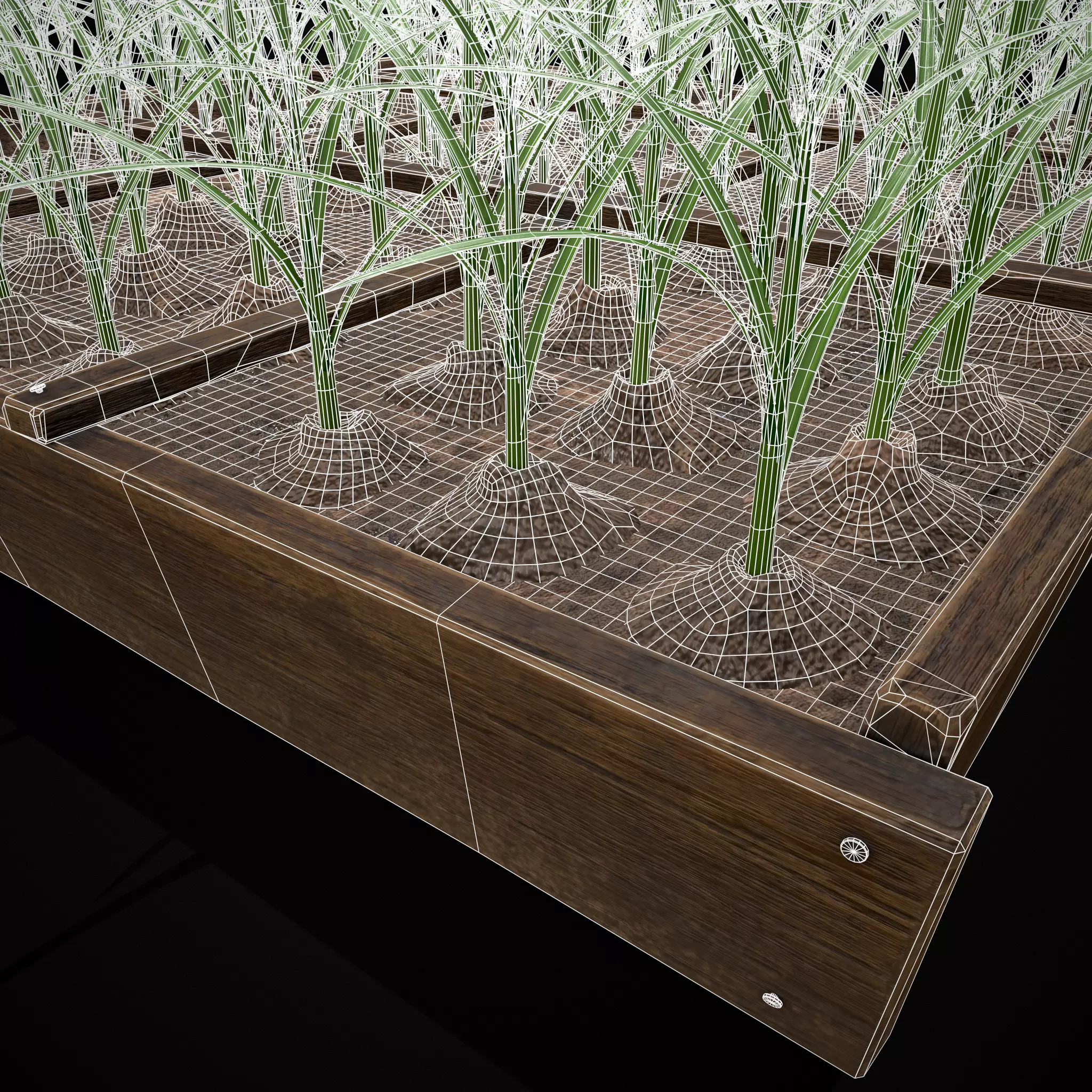 Square Planting Plot with Garlic Low-poly 3D model_9