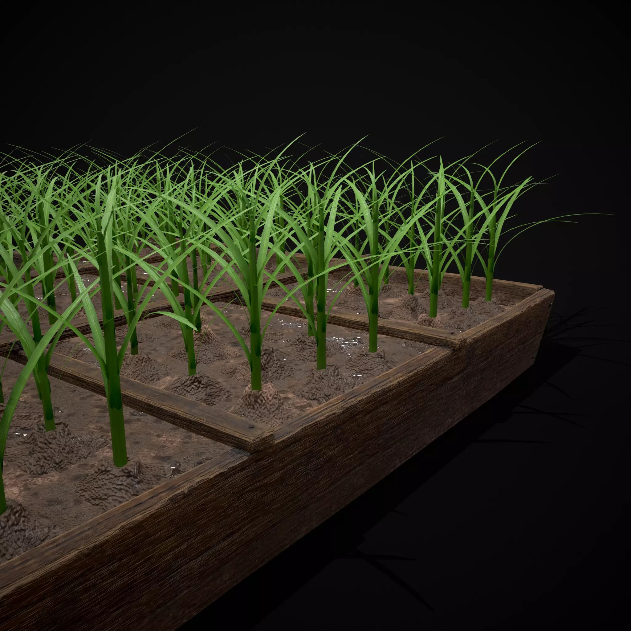 Square Planting Plot with Garlic Low-poly 3D model_33