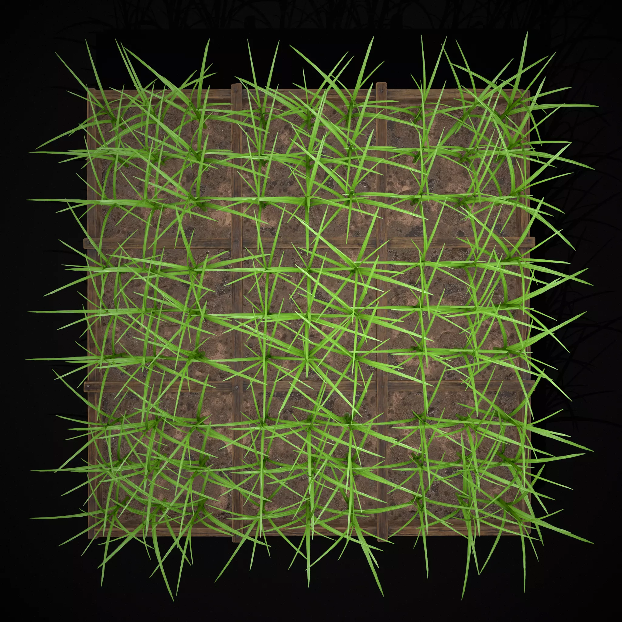 Square Planting Plot with Garlic Low-poly 3D model_6
