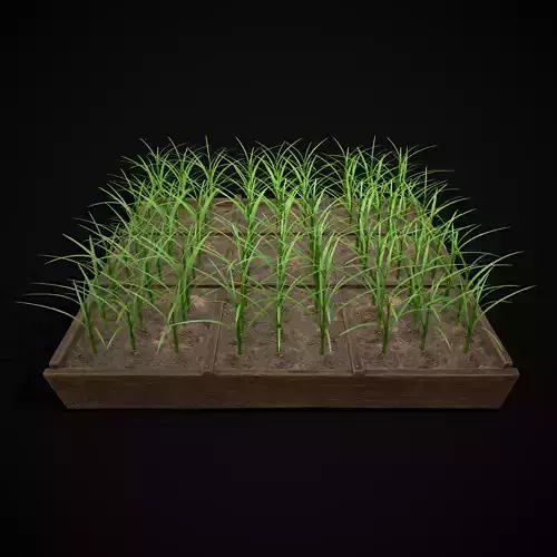 Square Planting Plot with Garlic Low-poly 3D model Square Planting Plot with Garlic Low-poly 3D model