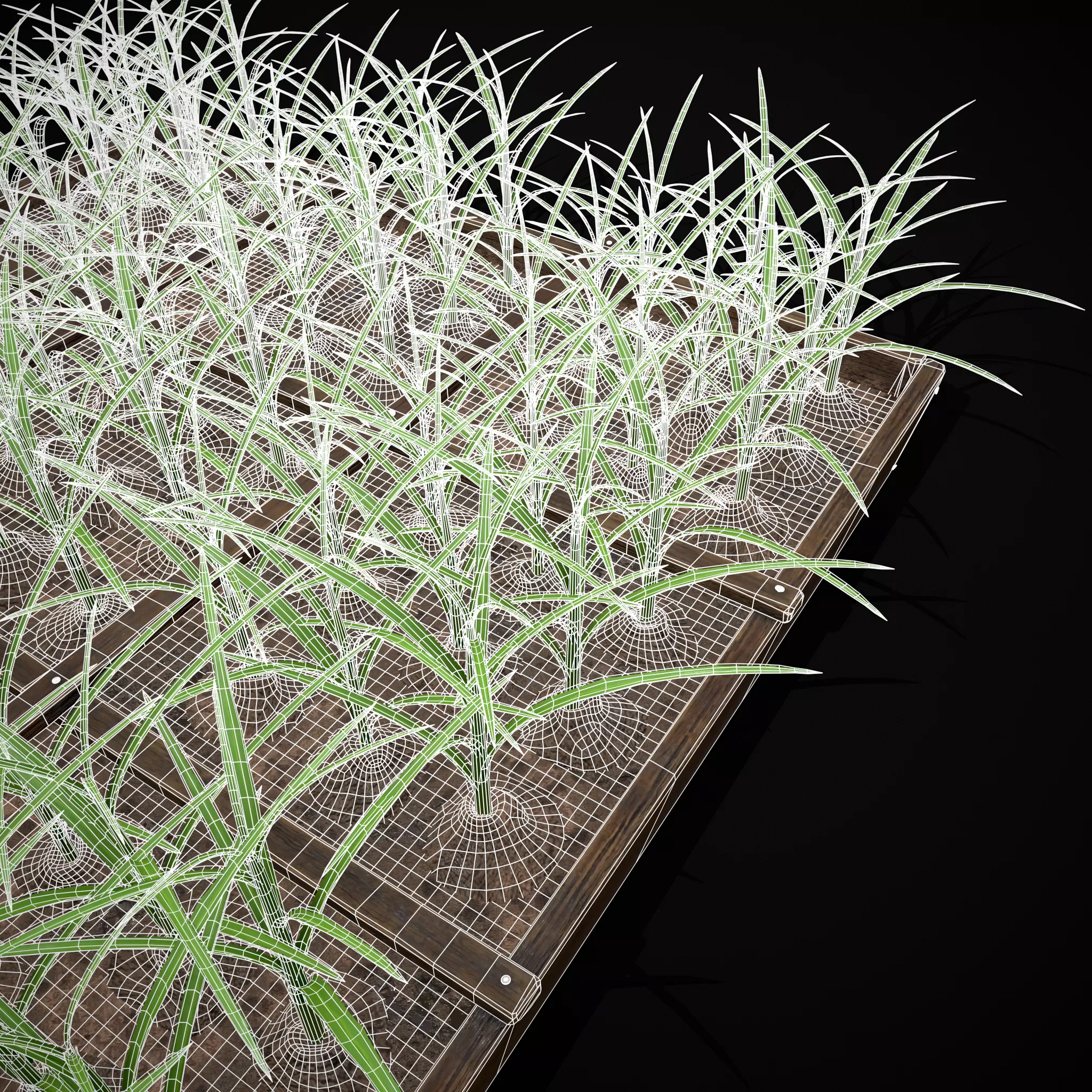 Square Planting Plot with Garlic Low-poly 3D model_34