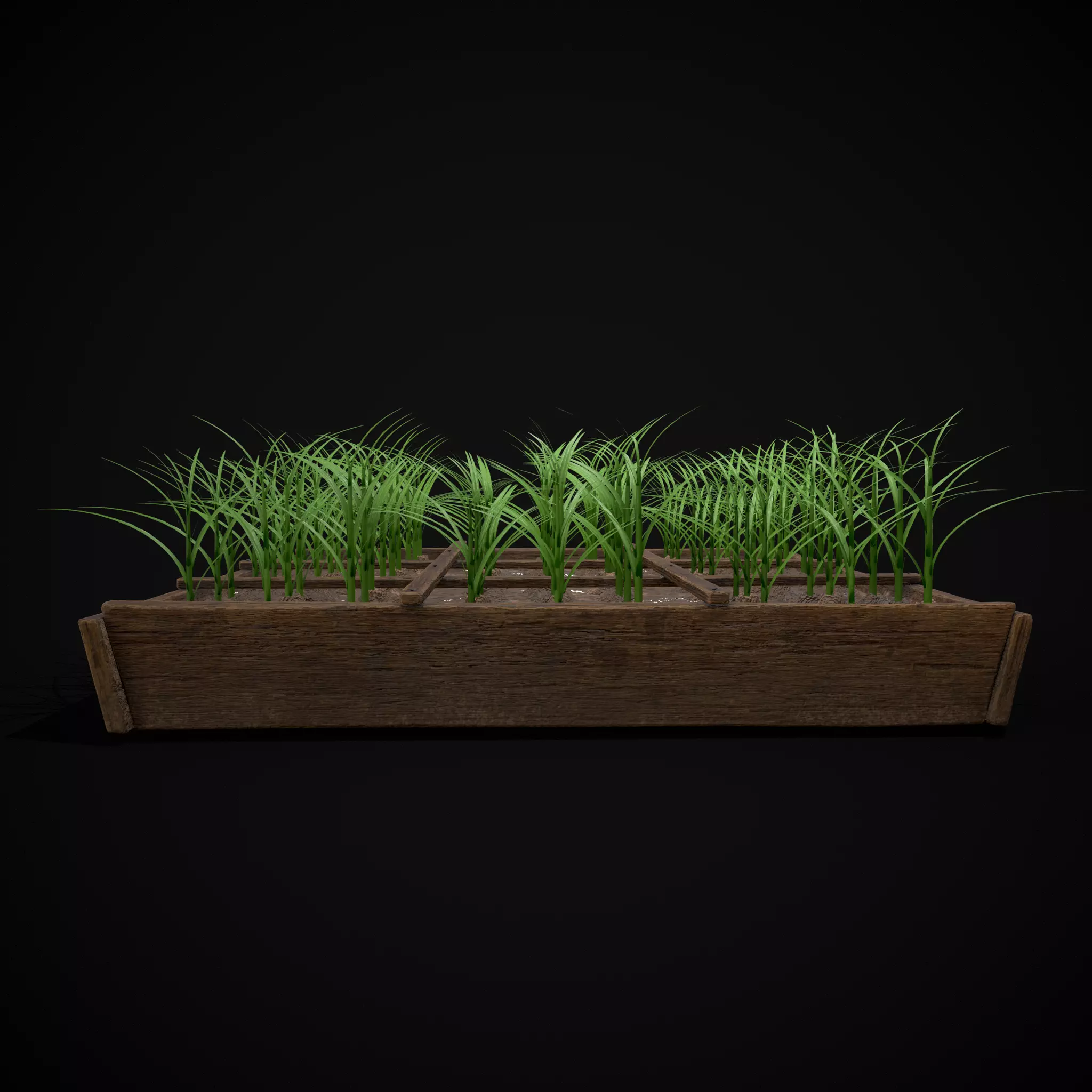 Square Planting Plot with Garlic Low-poly 3D model_30