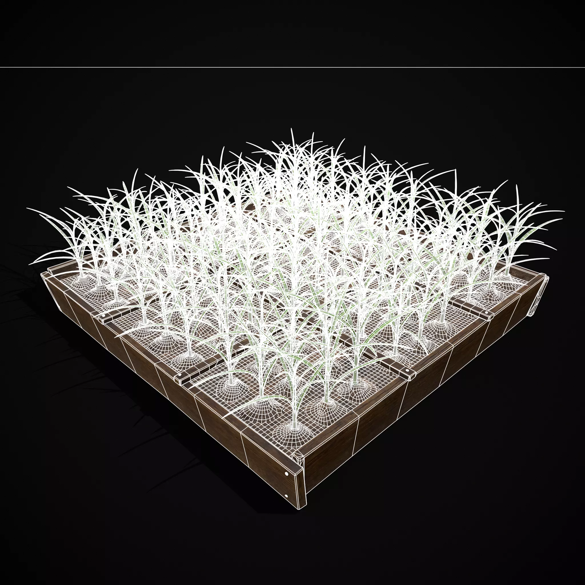 Square Planting Plot with Garlic Low-poly 3D model_5