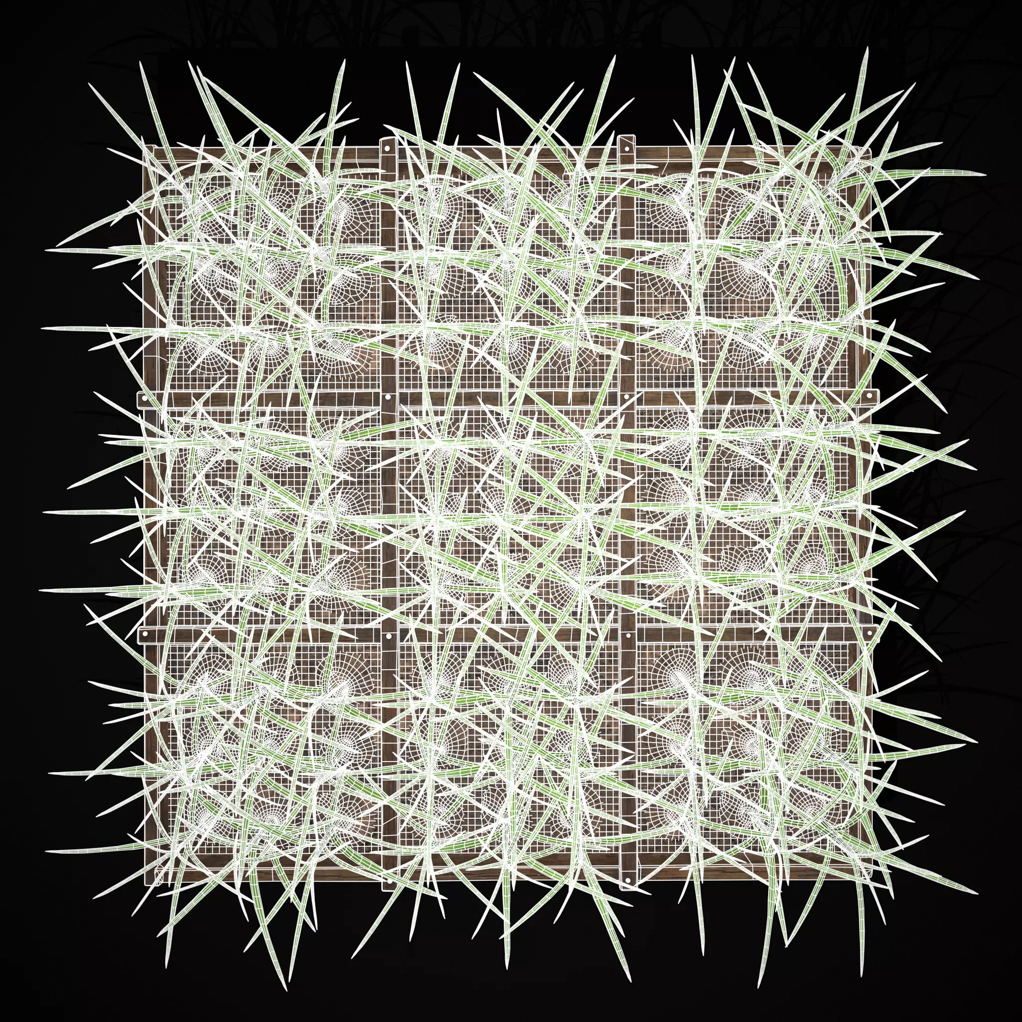 Square Planting Plot with Garlic Low-poly 3D model_7