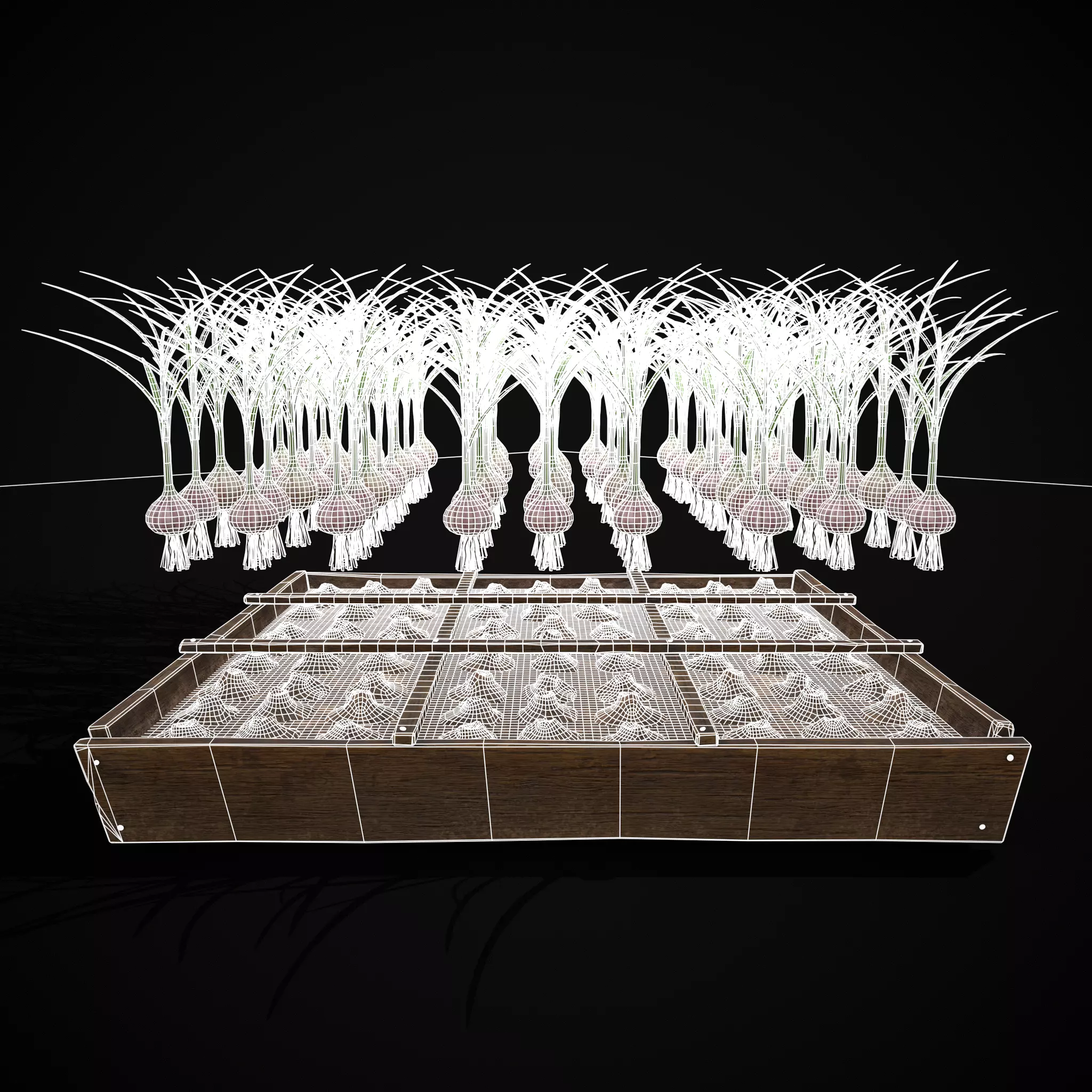 Square Planting Plot with Garlic Low-poly 3D model_19