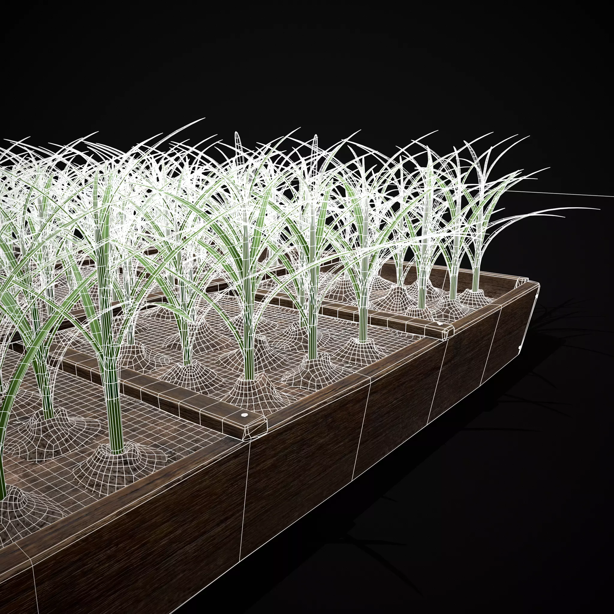 Square Planting Plot with Garlic Low-poly 3D model_32