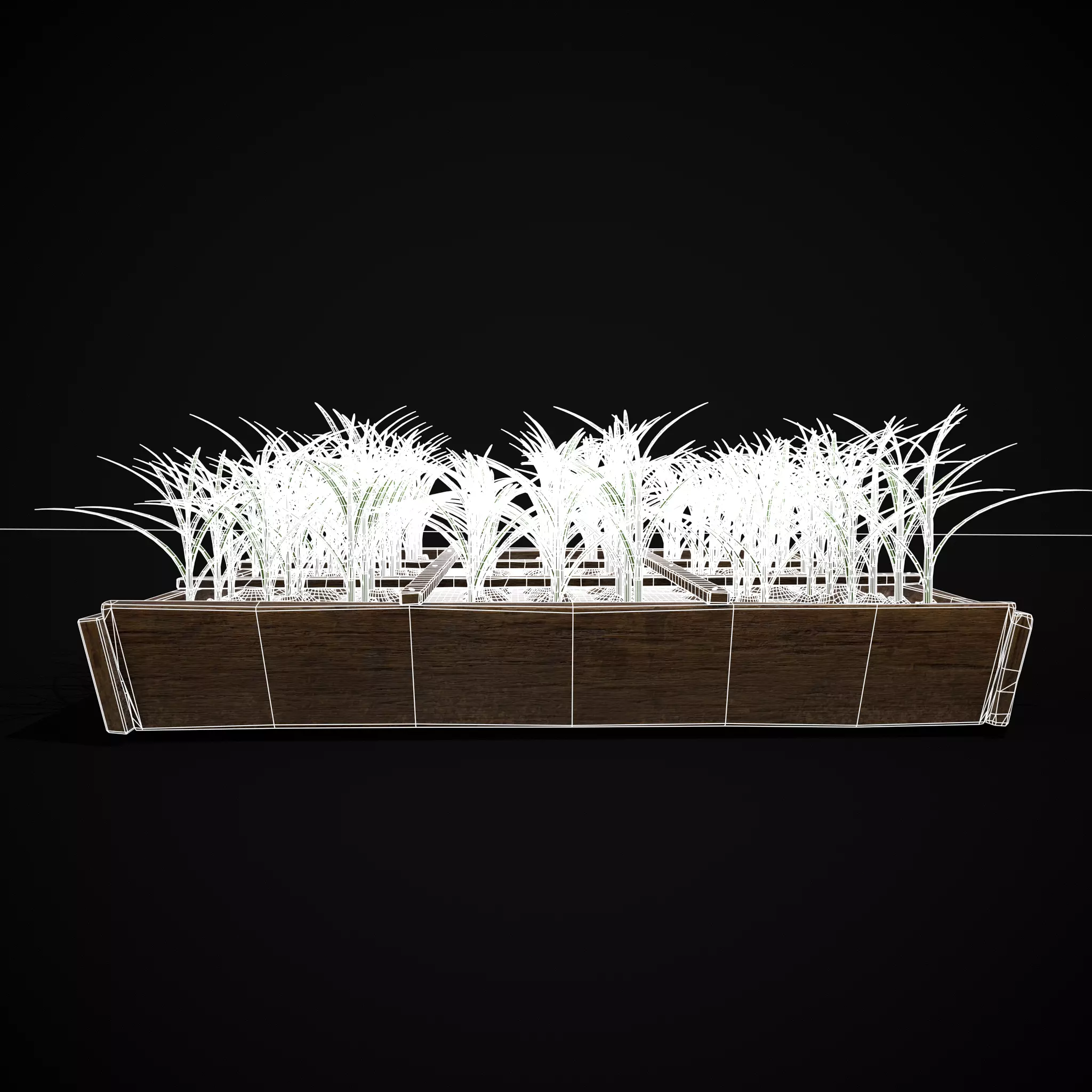 Square Planting Plot with Garlic Low-poly 3D model_31