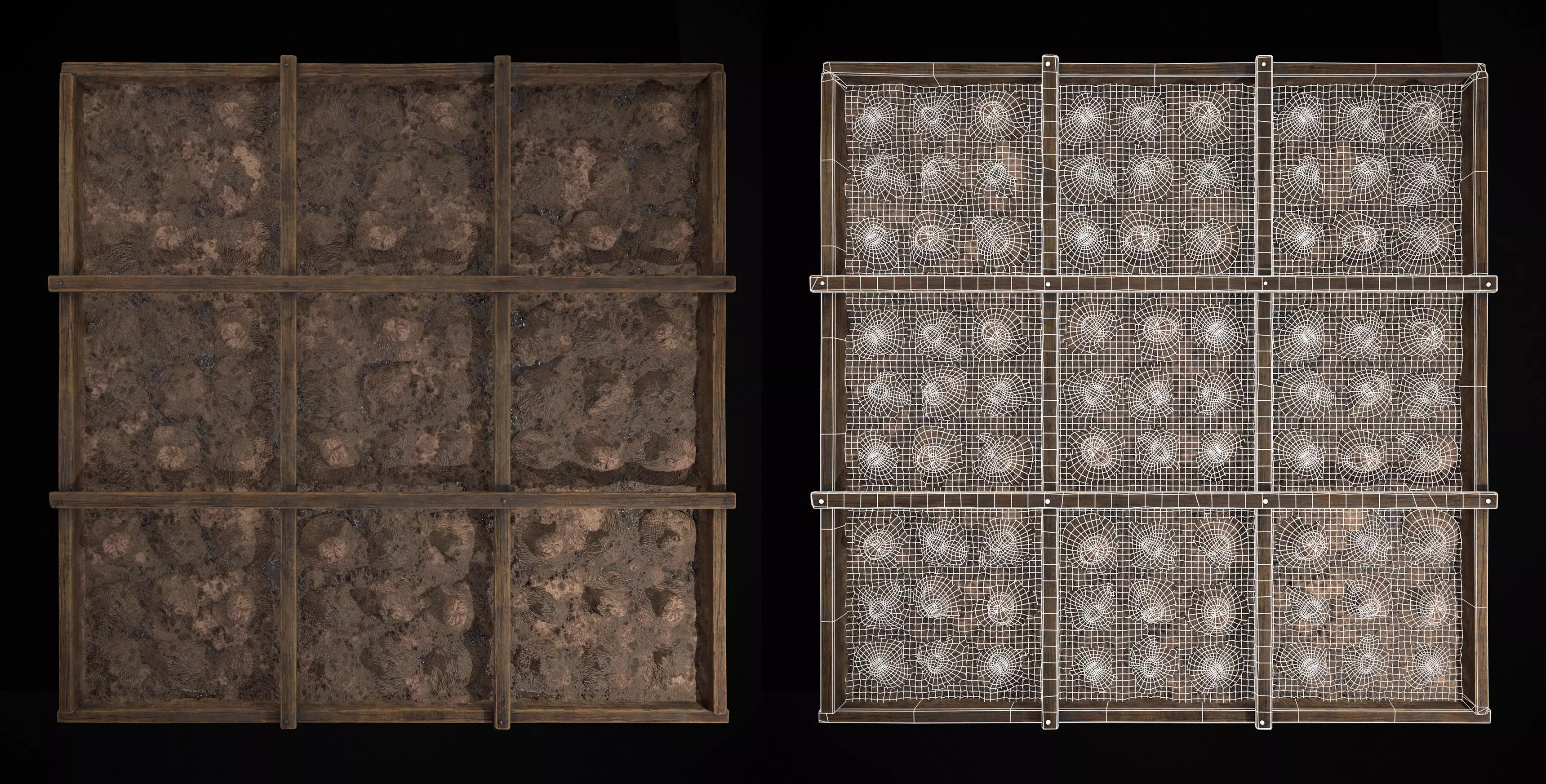 Square Planting Plot with Garlic Low-poly 3D model_24