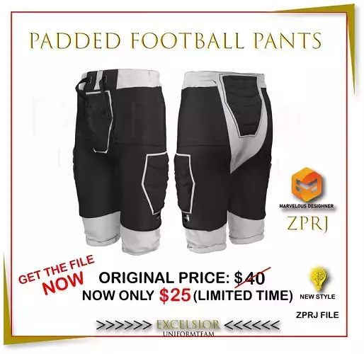 Padded Football Pants 3D Model  ZPRJ File 