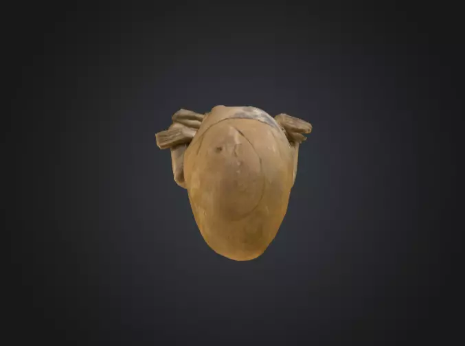 Skull Shaman Statue  Low-poly 3D model_14
