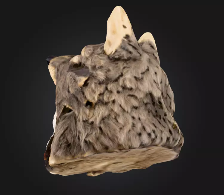 Wolf Spirit Skull Low-poly 3D model_14