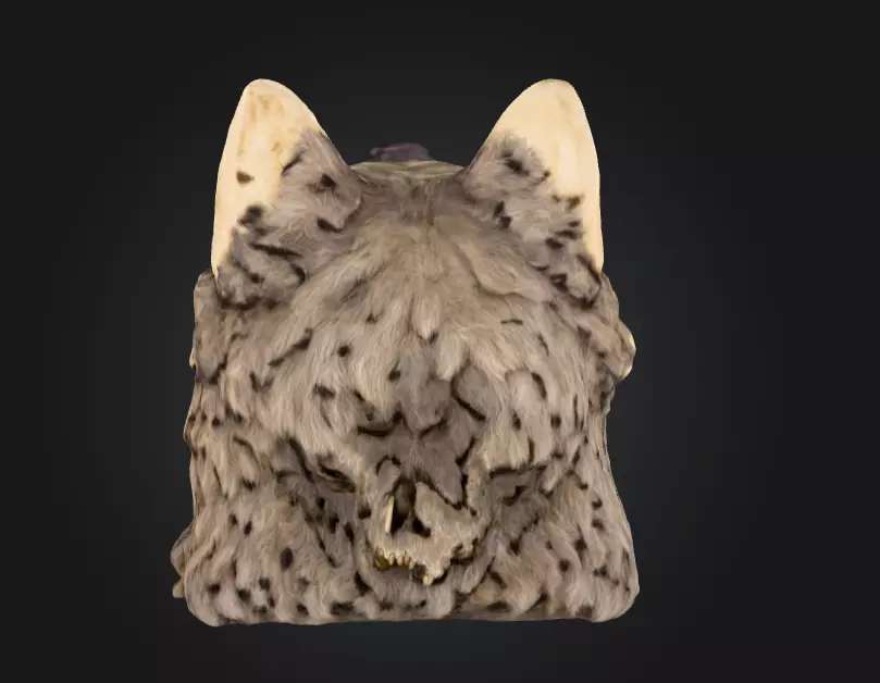 Wolf Spirit Skull Low-poly 3D model_4