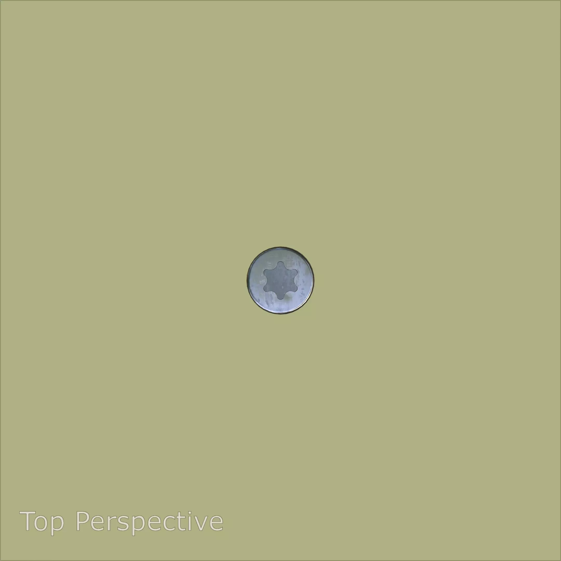 Steel Stained M4 Torx T20 Cap Bolt with PBR 4K 3D model_6