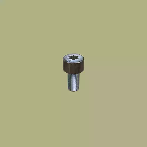Steel Stained M5 Torx T25 Cap Bolt with PBR 4K 3D model