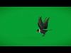Asian Indian House Crow Bird Low-poly 3D model_1