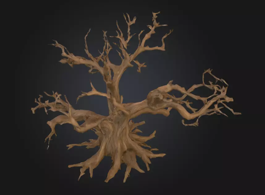 Twisted Dead Tree Low-poly 3D model_5