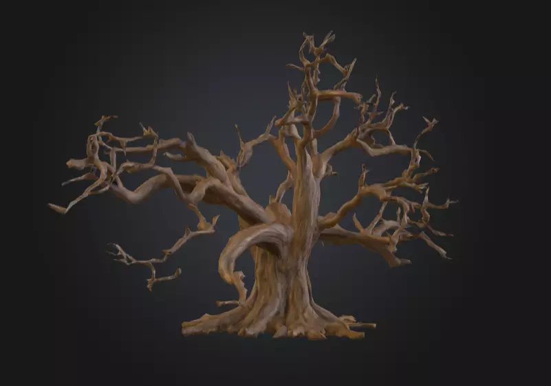 Twisted Dead Tree Low-poly 3D model_9