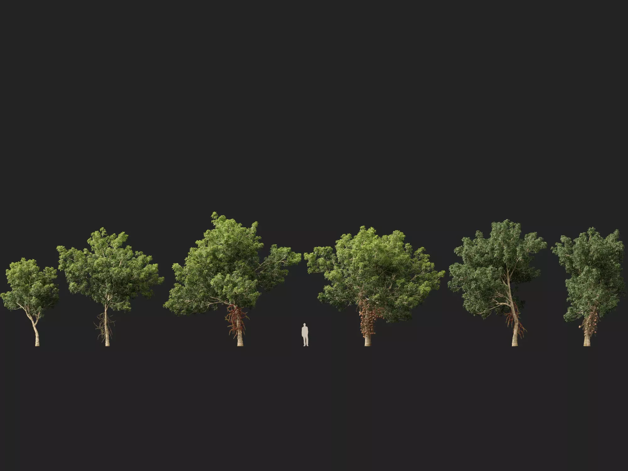 High-LowPoly - Couroupita guianensis - Cannon Ball Tree Low-poly 3D model_1