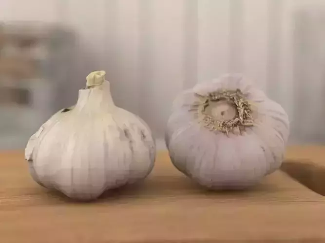 Alho - Garlic - Scan 20k 3D model