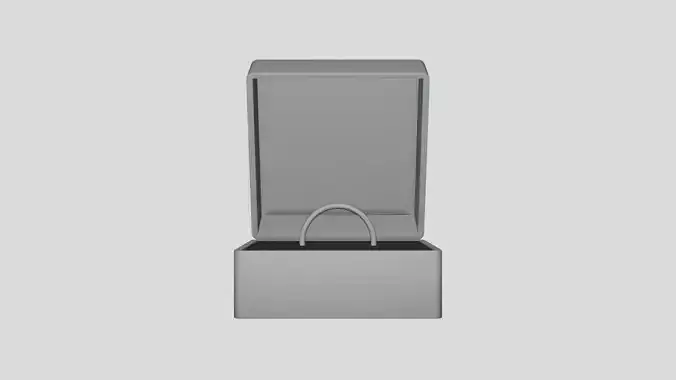 Ring Box - Geometry Only No Textures No Materials