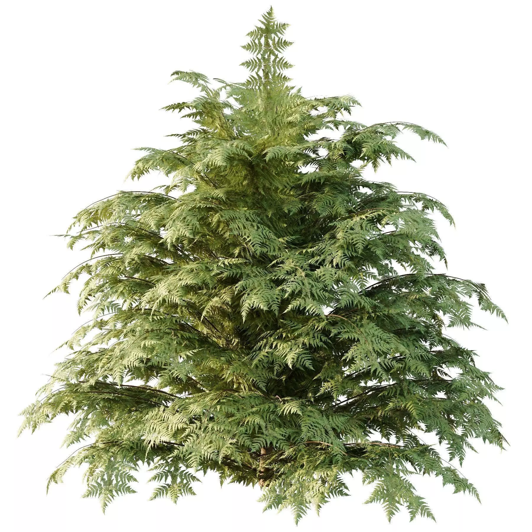 Excellent collection of Bush plants 27 Different Models 001 _8