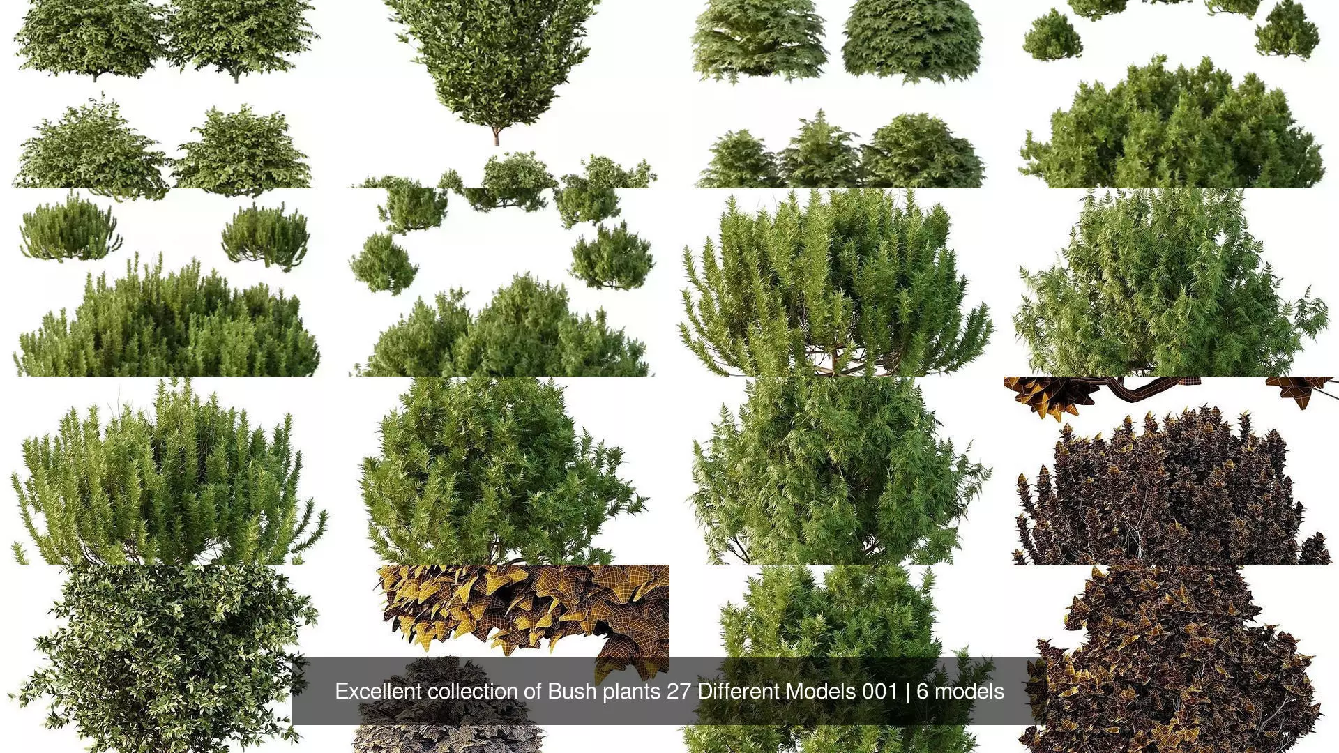 Excellent collection of Bush plants 27 Different Models 001 _1