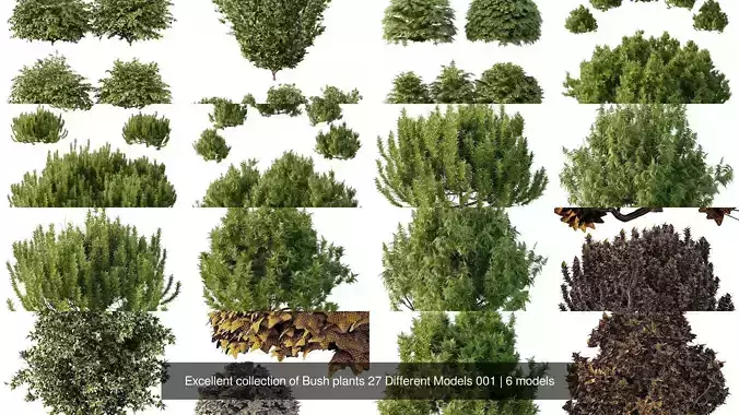 Excellent collection of Bush plants 27 Different Models 001