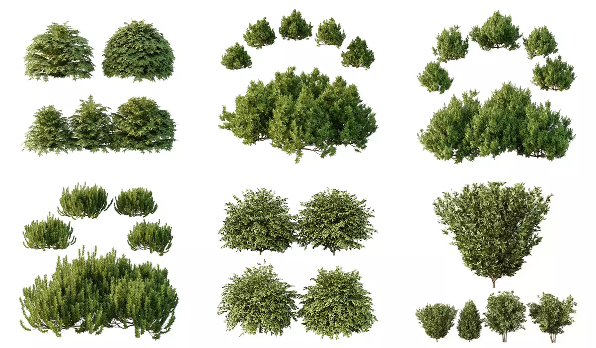 Excellent collection of Bush plants 27 Different Models 001 _0