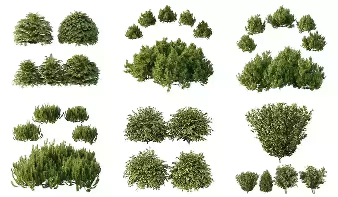 Excellent collection of Bush plants 27 Different Models 001 
