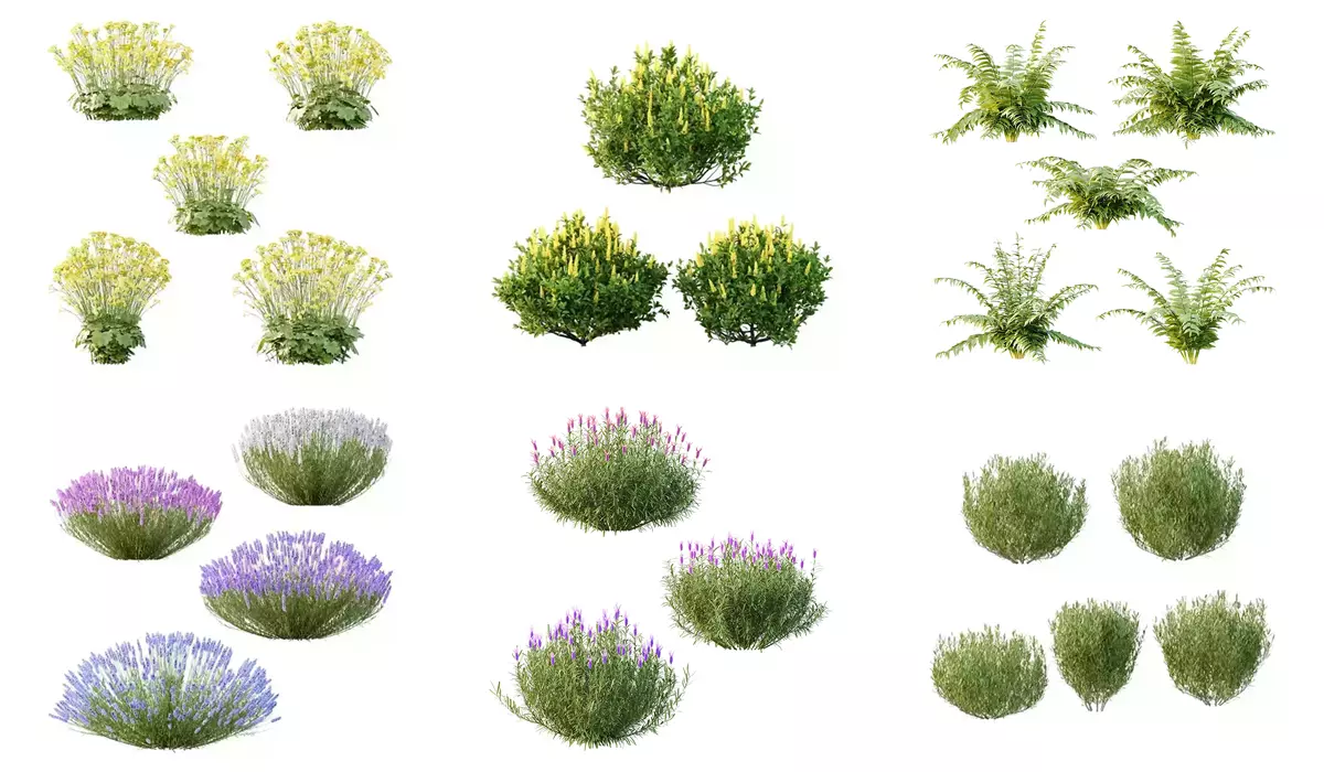 Excellent collection of Bush plants 25 Different Models 002 _0