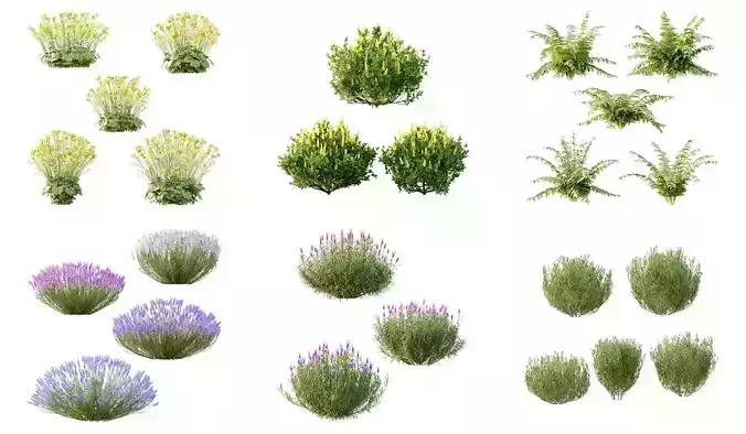 Excellent collection of Bush plants 25 Different Models 002 