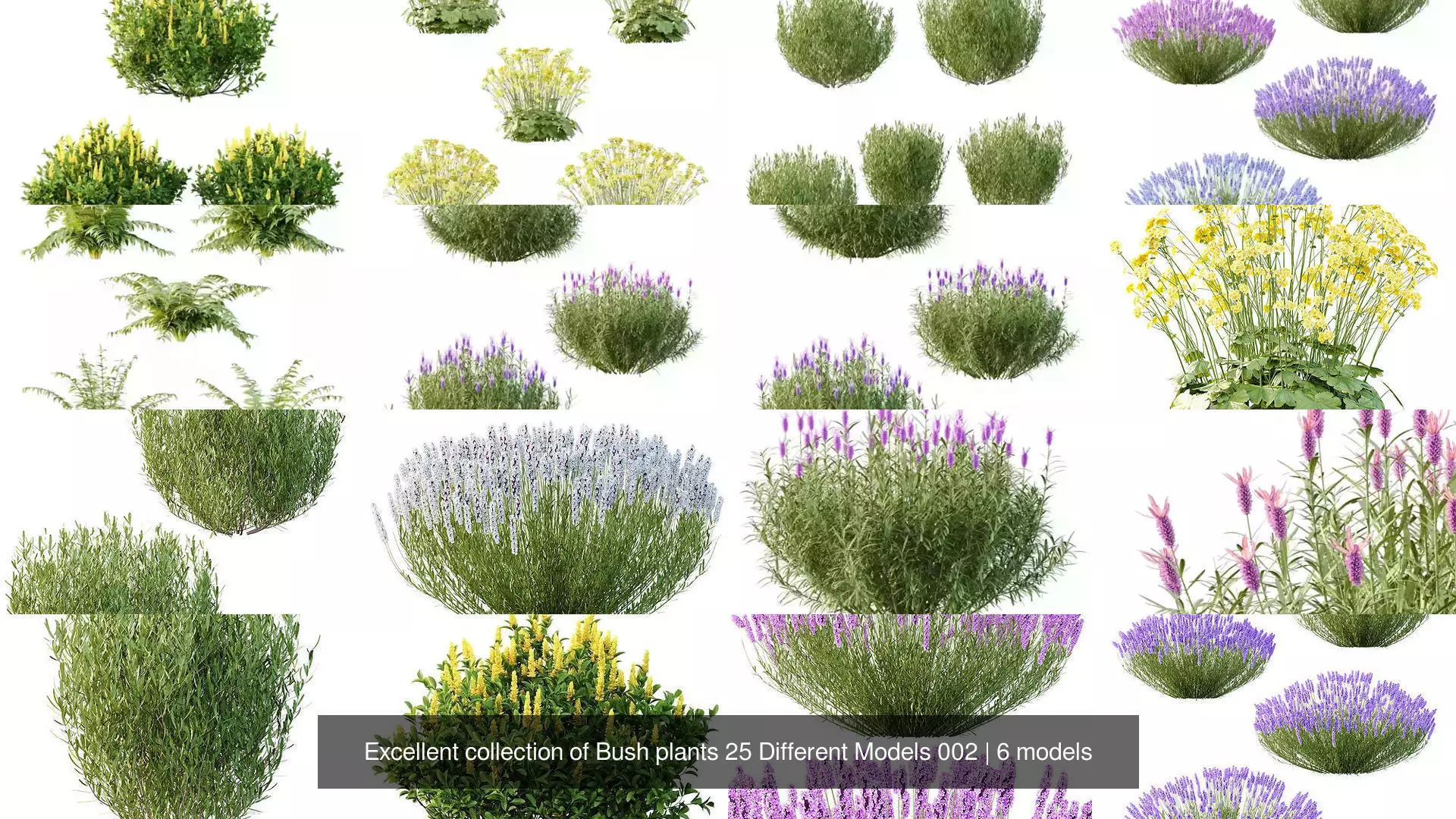 Excellent collection of Bush plants 25 Different Models 002 _1