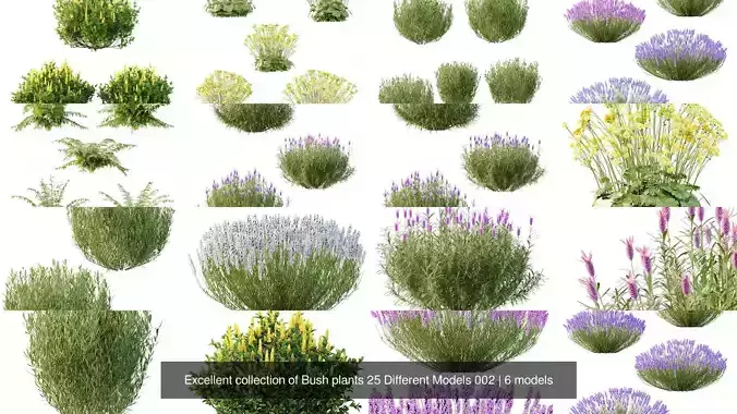 Excellent collection of Bush plants 25 Different Models 002