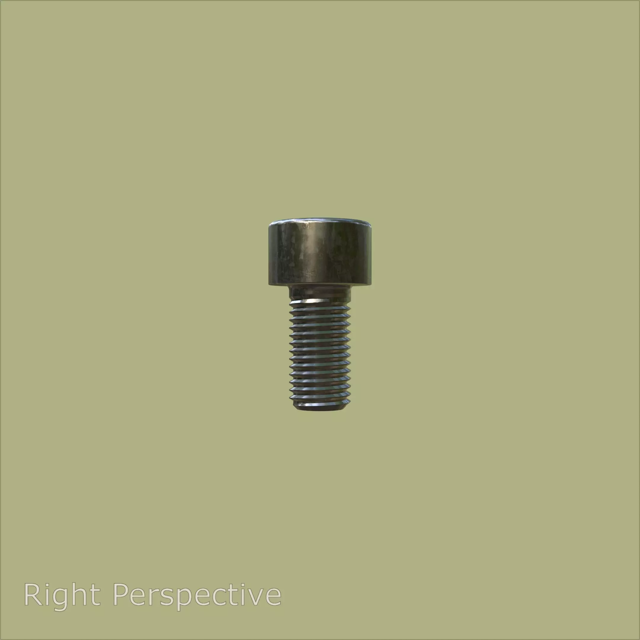 Steel Stained M6 Torx T30 Cap Bolt with PBR 4K 3D model_4