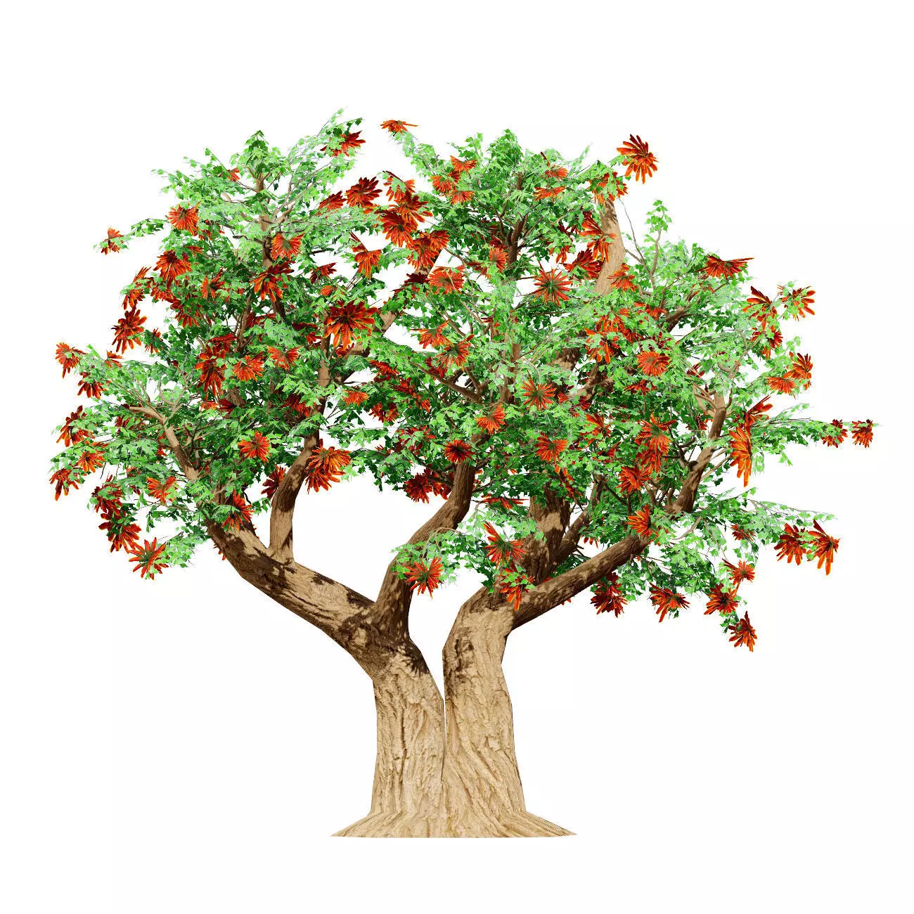 Realistic South African Vegetation 3D Models 3D Model Collection_71