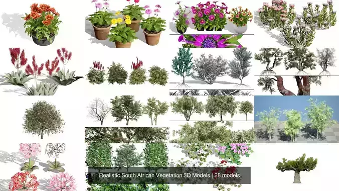 Realistic South African Vegetation 3D Models 3D Model Collection