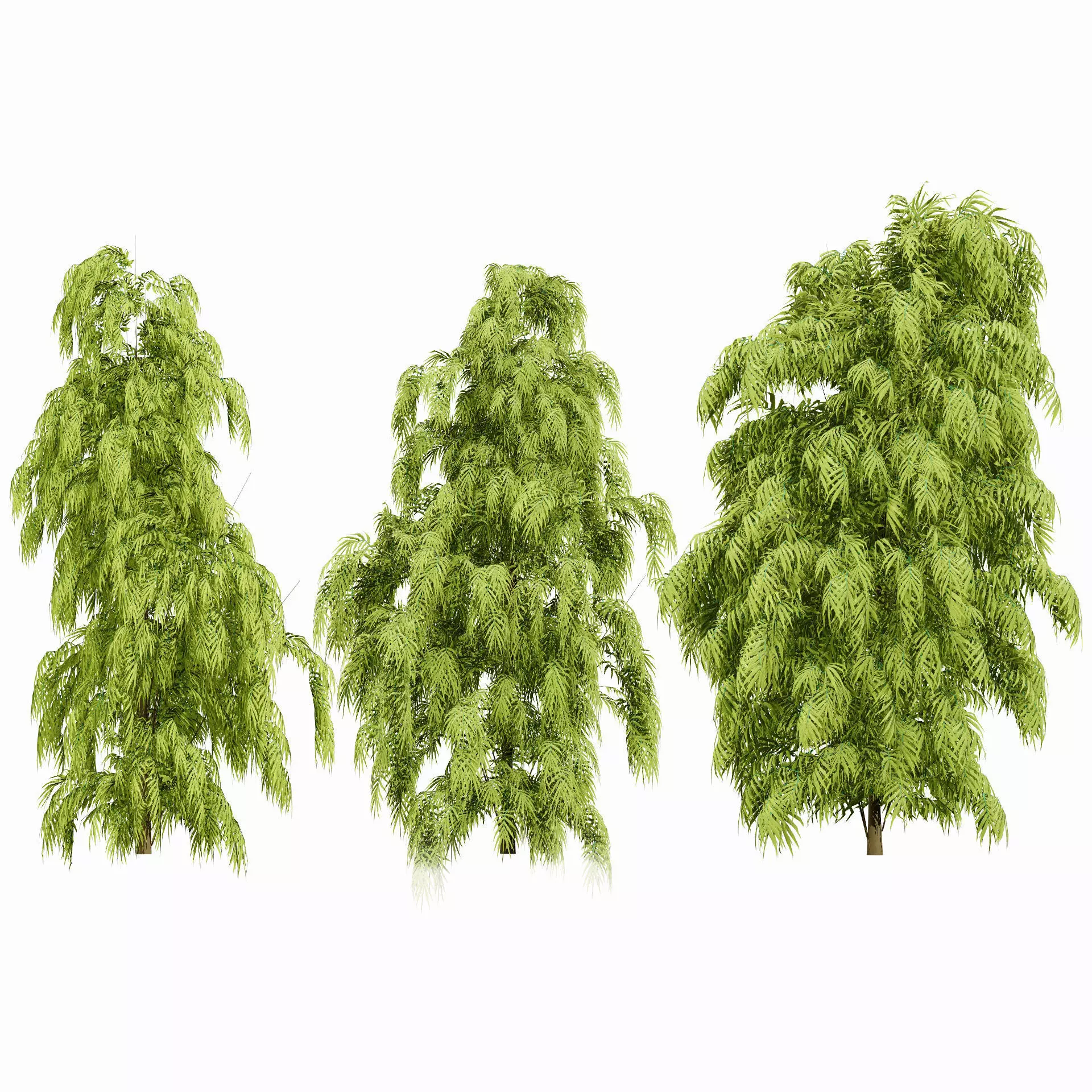 Realistic South African Vegetation 3D Models 3D Model Collection_126