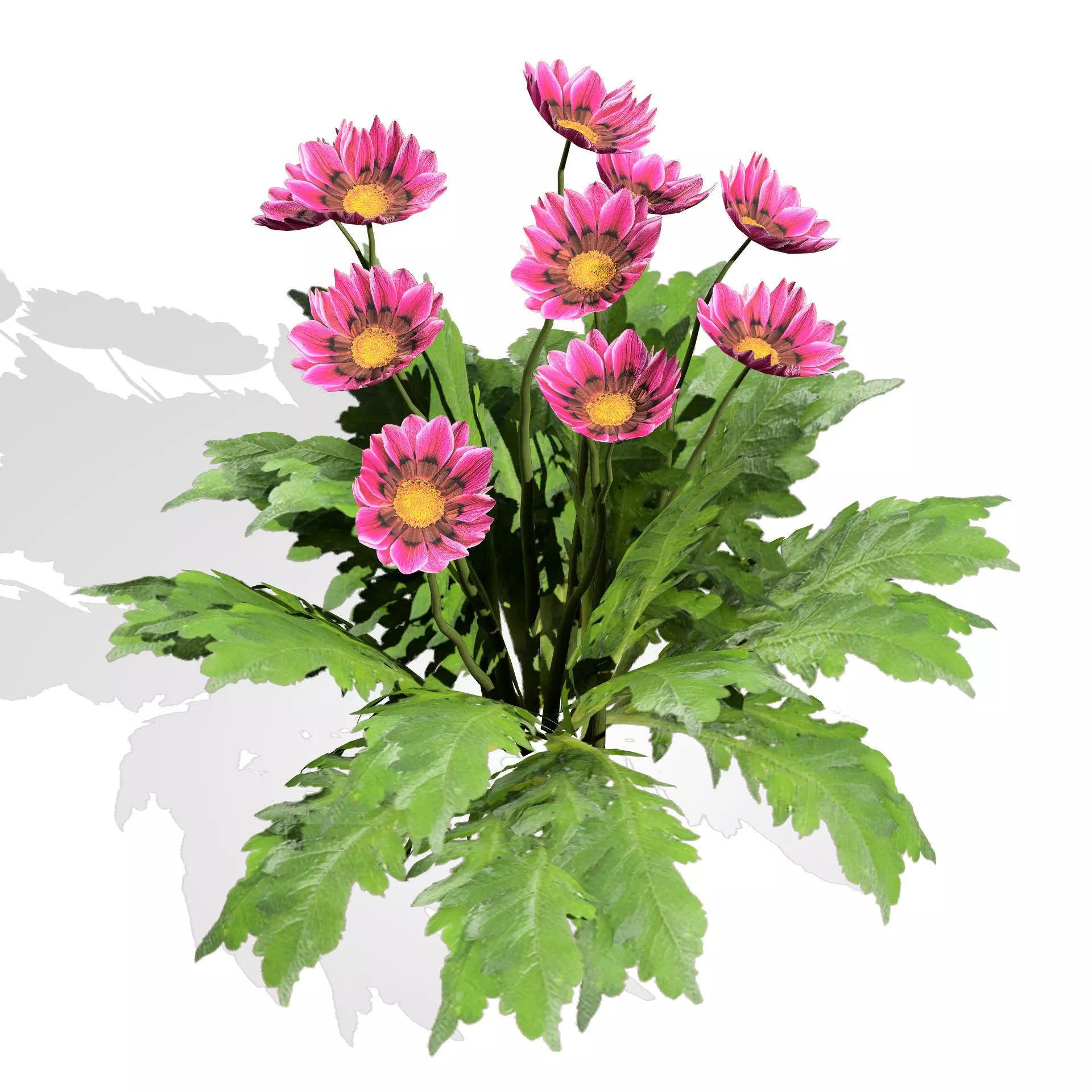 Realistic South African Vegetation 3D Models 3D Model Collection_84