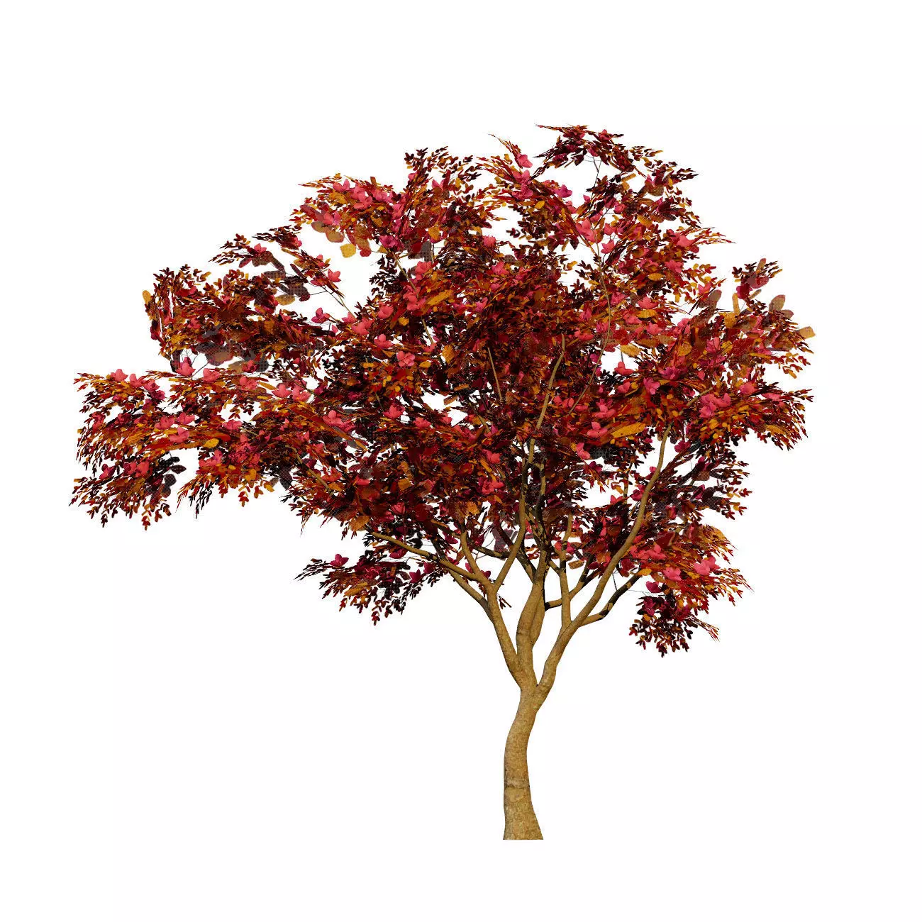 Realistic South African Vegetation 3D Models 3D Model Collection_103