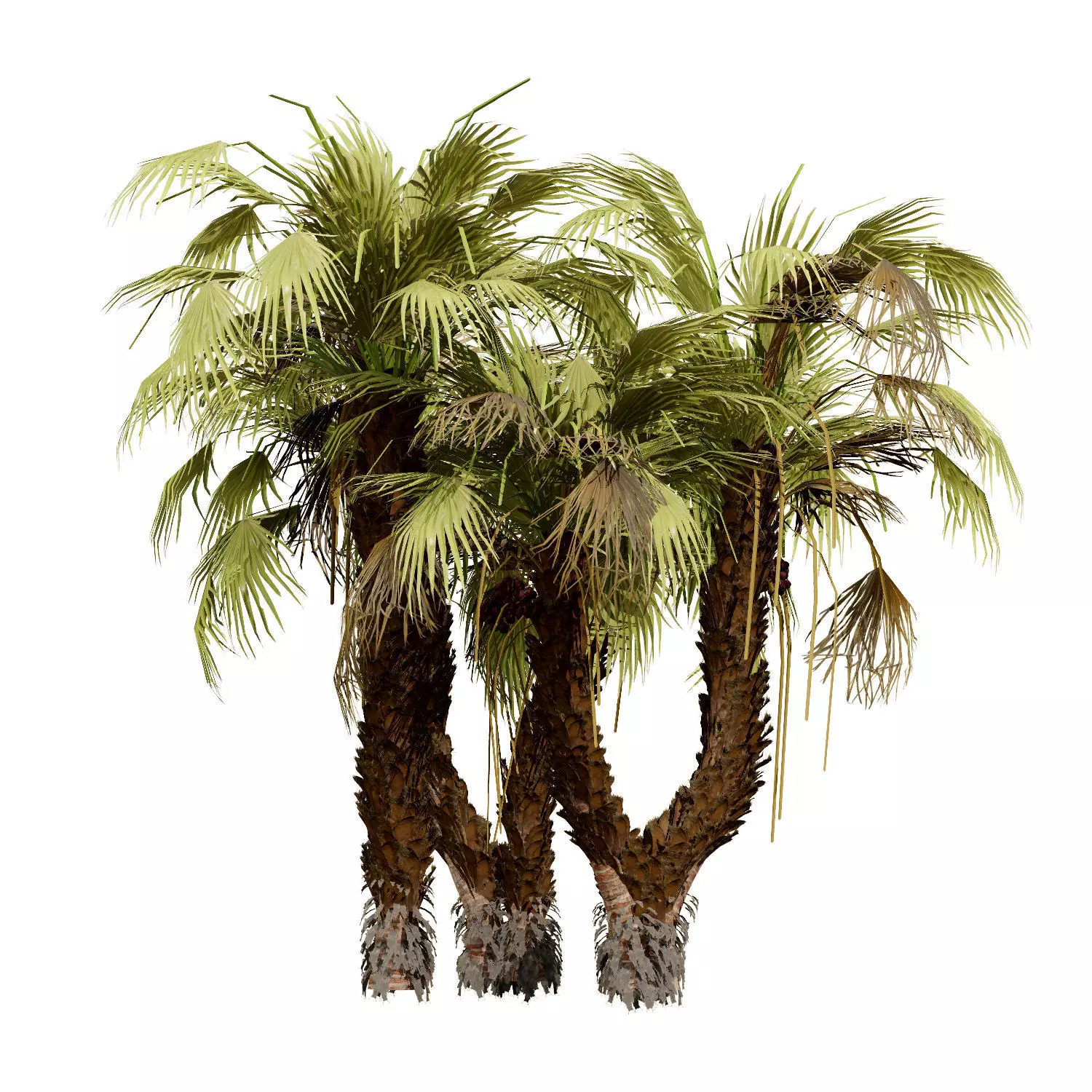 Realistic South African Vegetation 3D Models 3D Model Collection_128