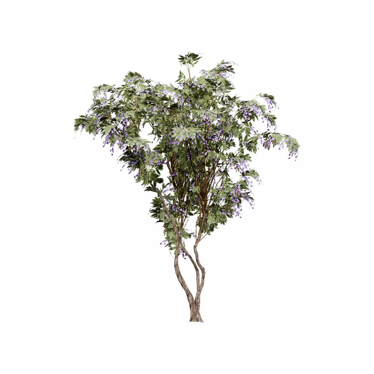 Realistic South African Vegetation 3D Models 3D Model Collection_60