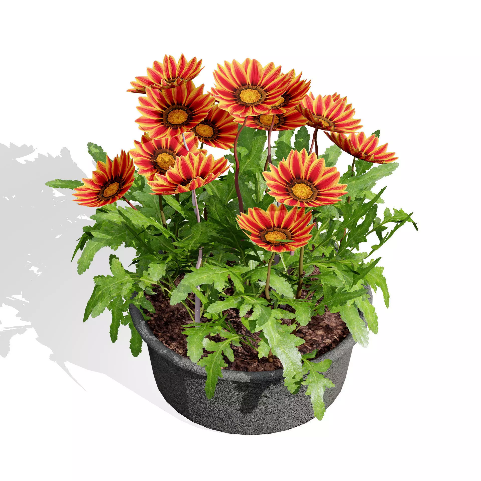 Realistic South African Vegetation 3D Models 3D Model Collection_122