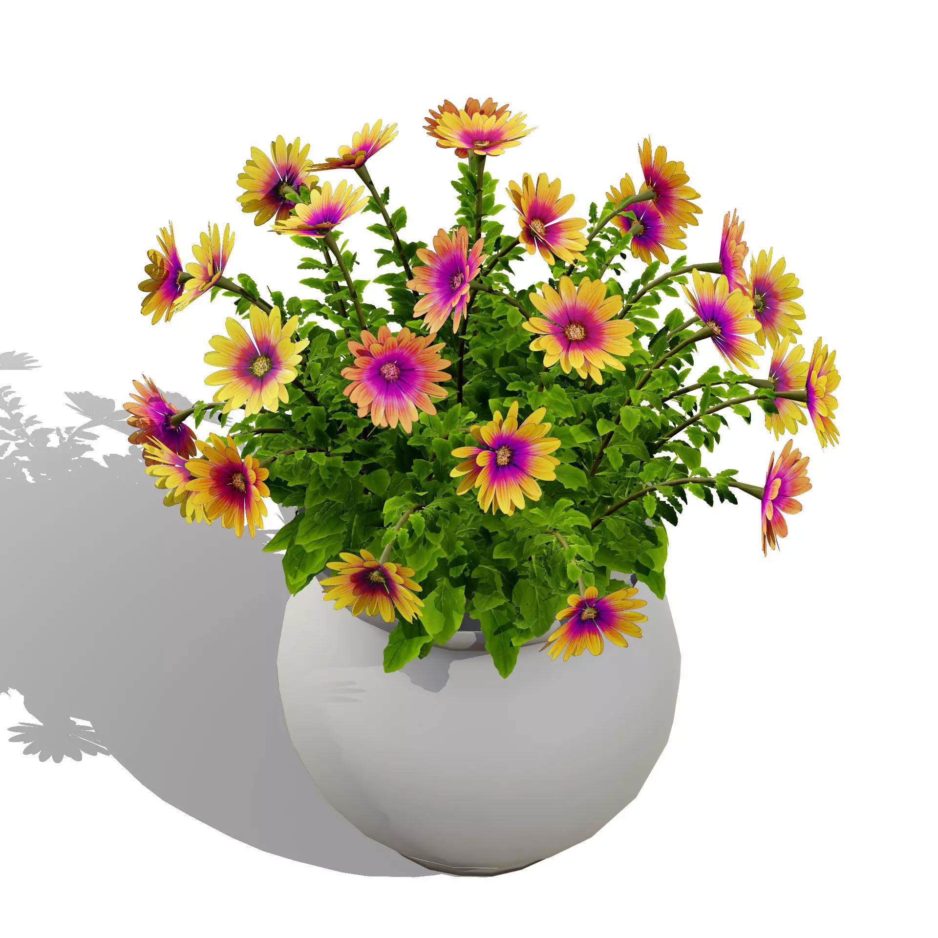 Realistic South African Vegetation 3D Models 3D Model Collection_109