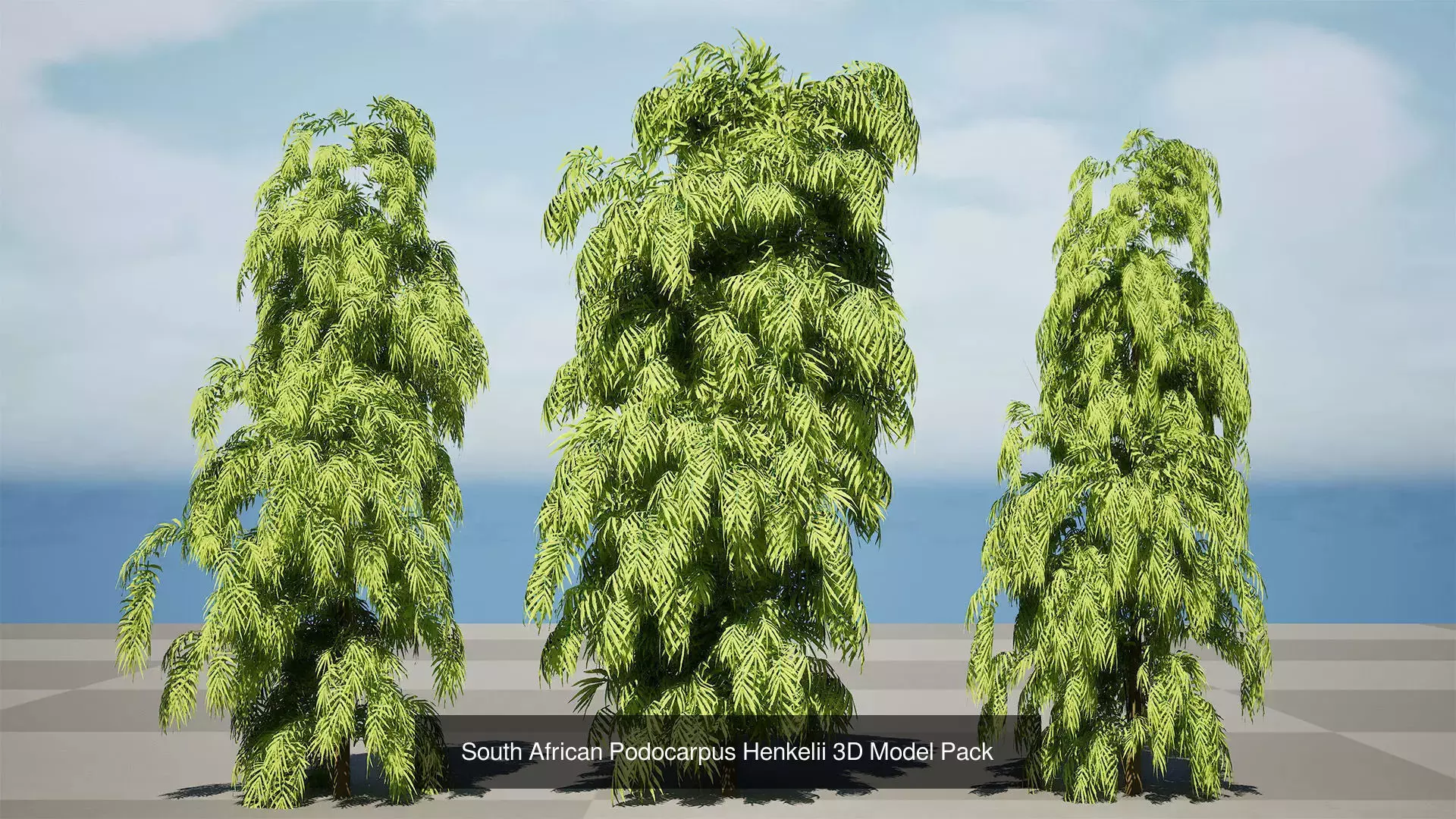 Realistic South African Vegetation 3D Models 3D Model Collection_56