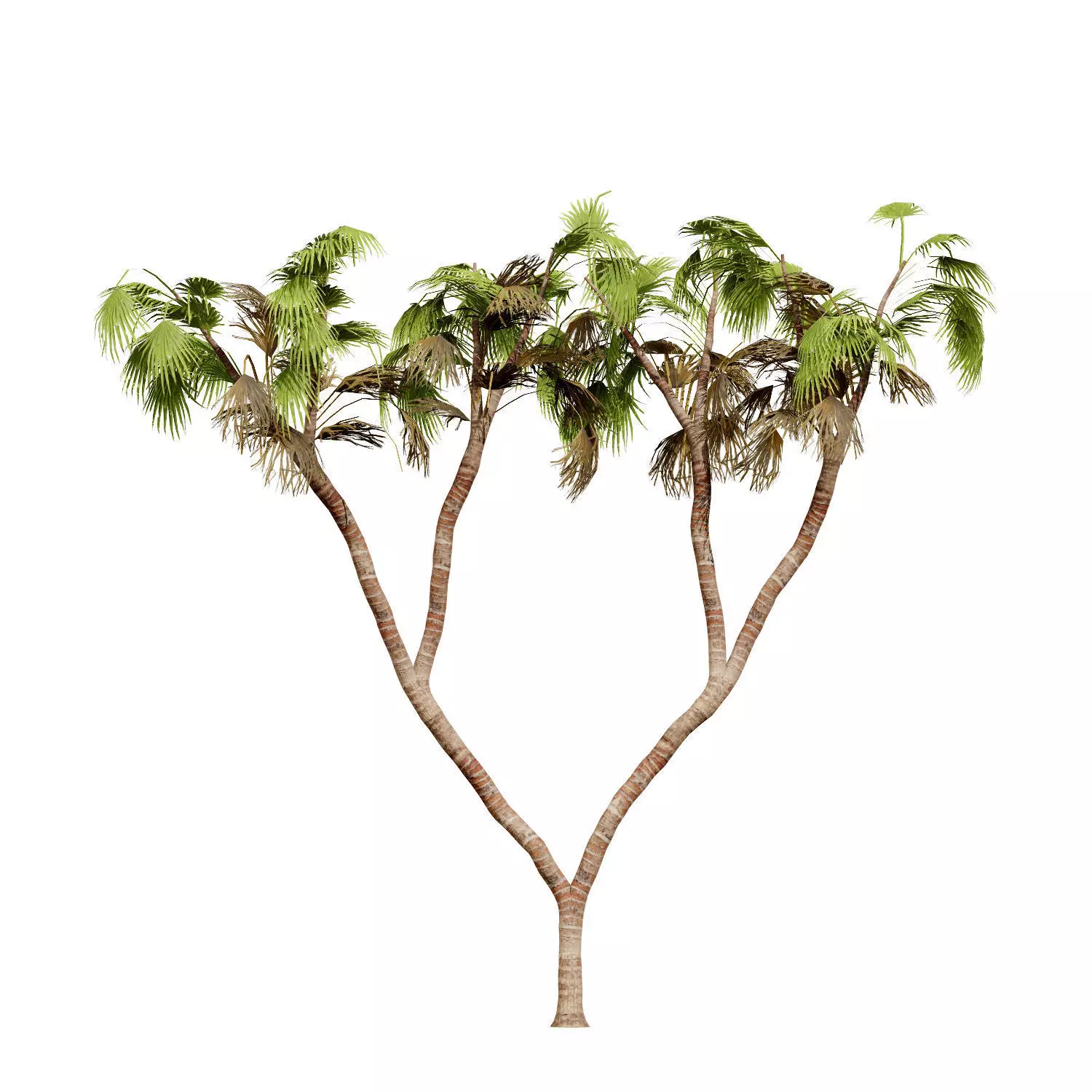 Realistic South African Vegetation 3D Models 3D Model Collection_70