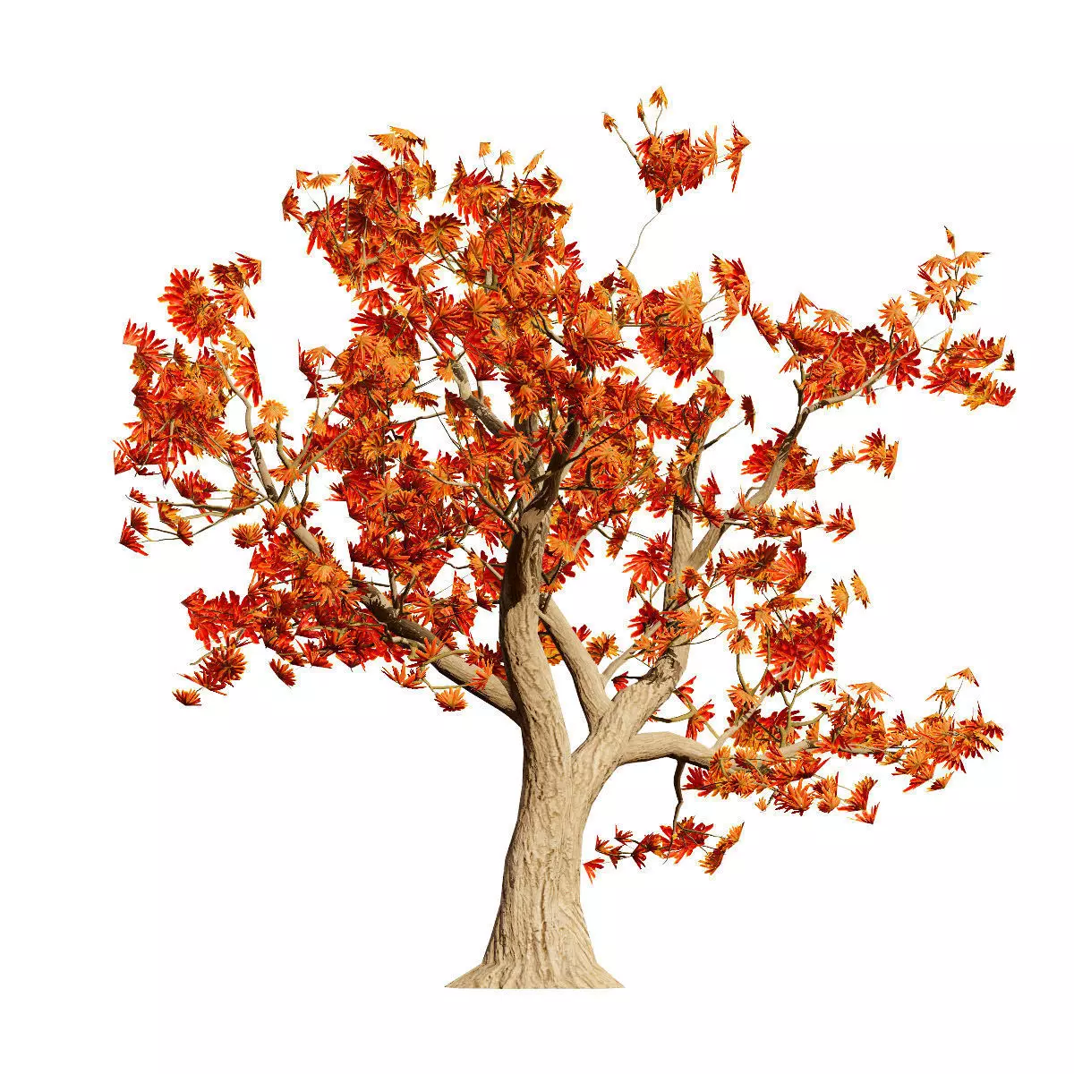 Realistic South African Vegetation 3D Models 3D Model Collection_112